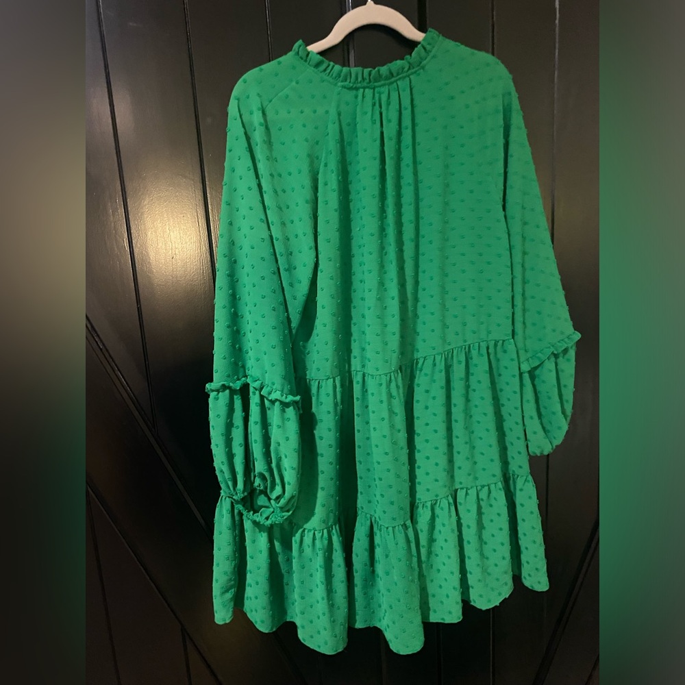 Clip Dot Ruffle Long Sleeve Shift Dress